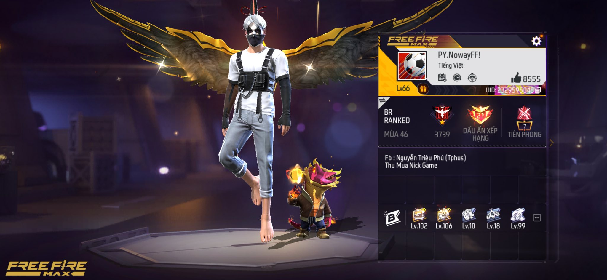 Account Preview
