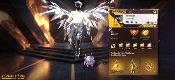 Account Preview