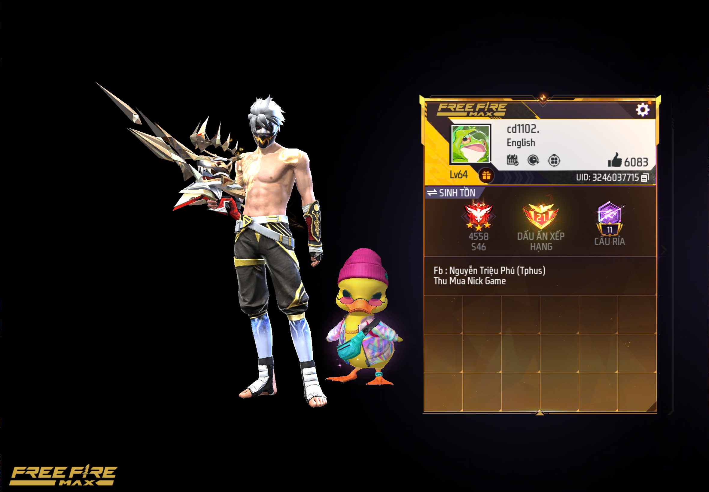 Account Preview