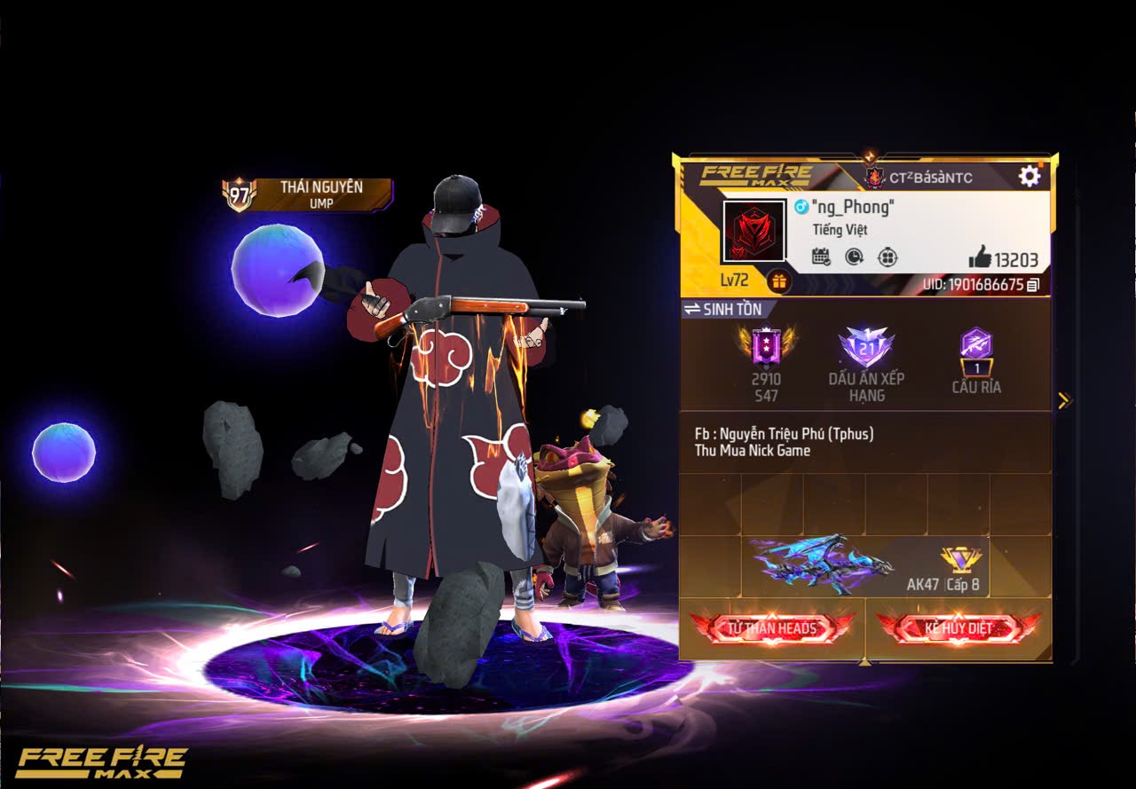 Account Preview