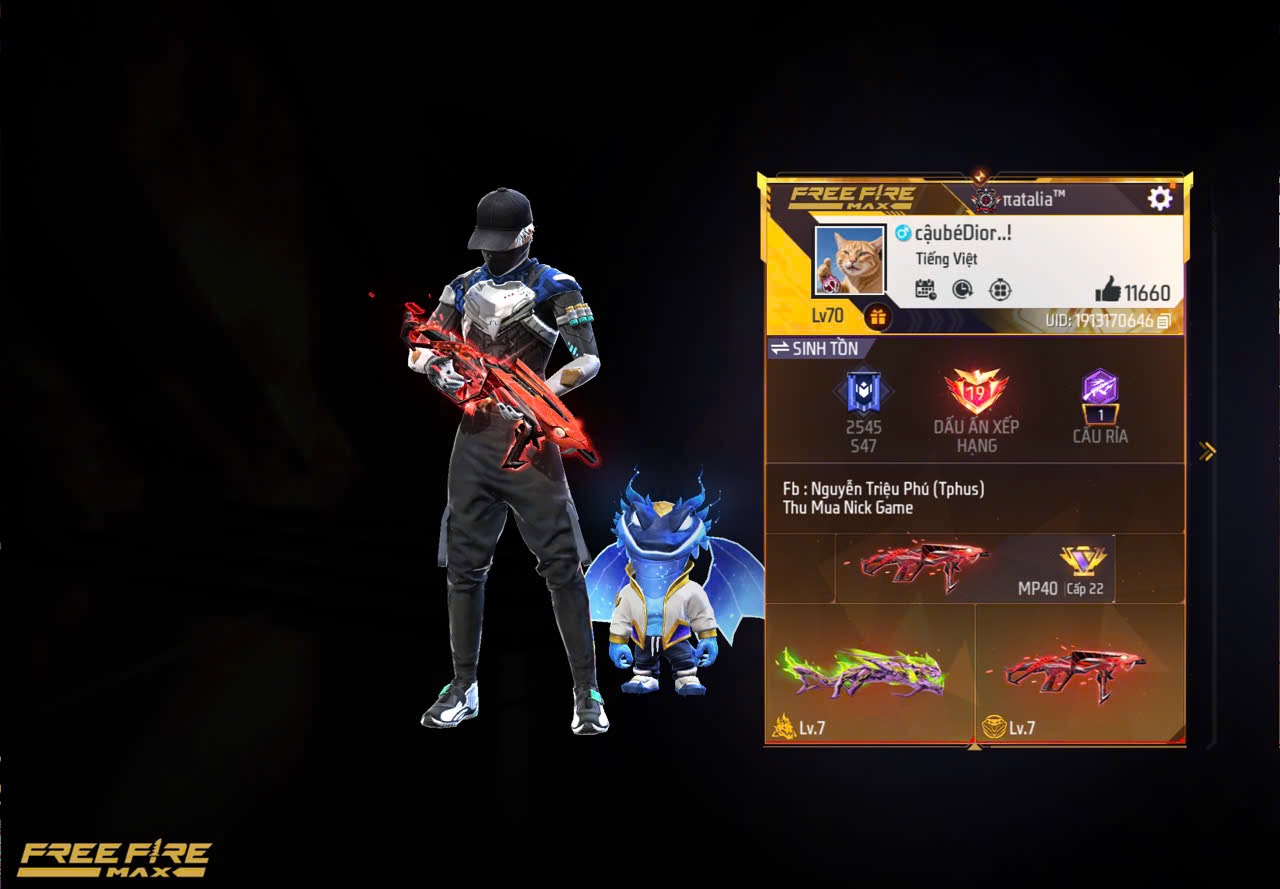 Account Preview
