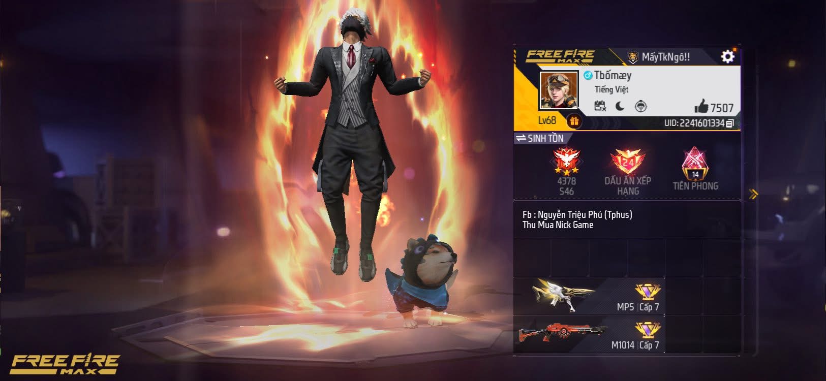 Account Preview