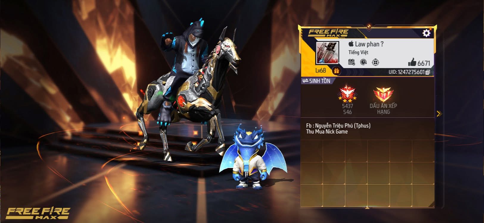 Account Preview
