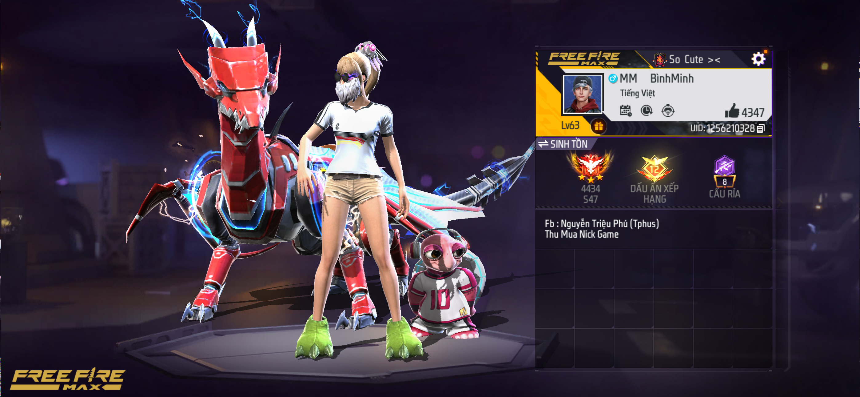Account Preview