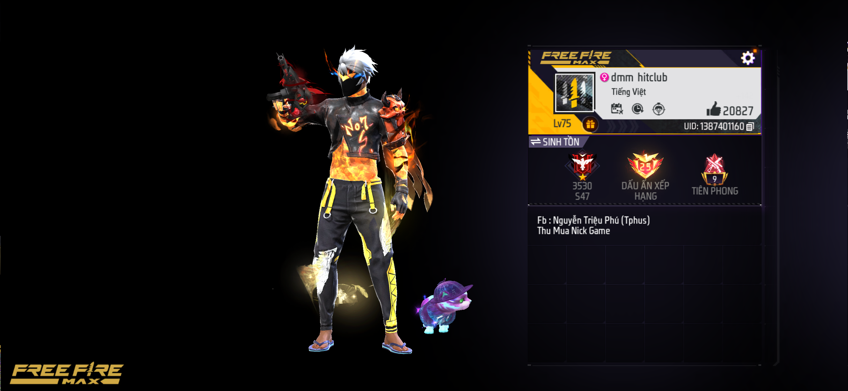 Account Preview