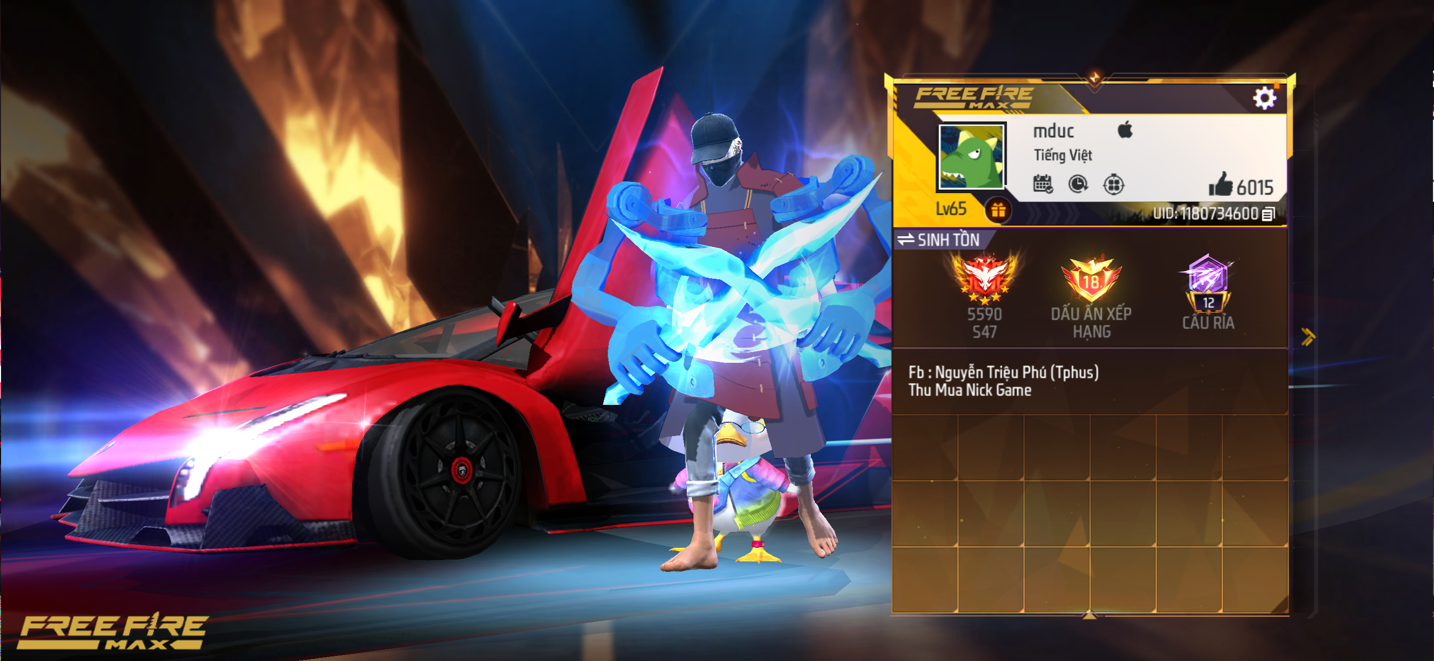Account Preview