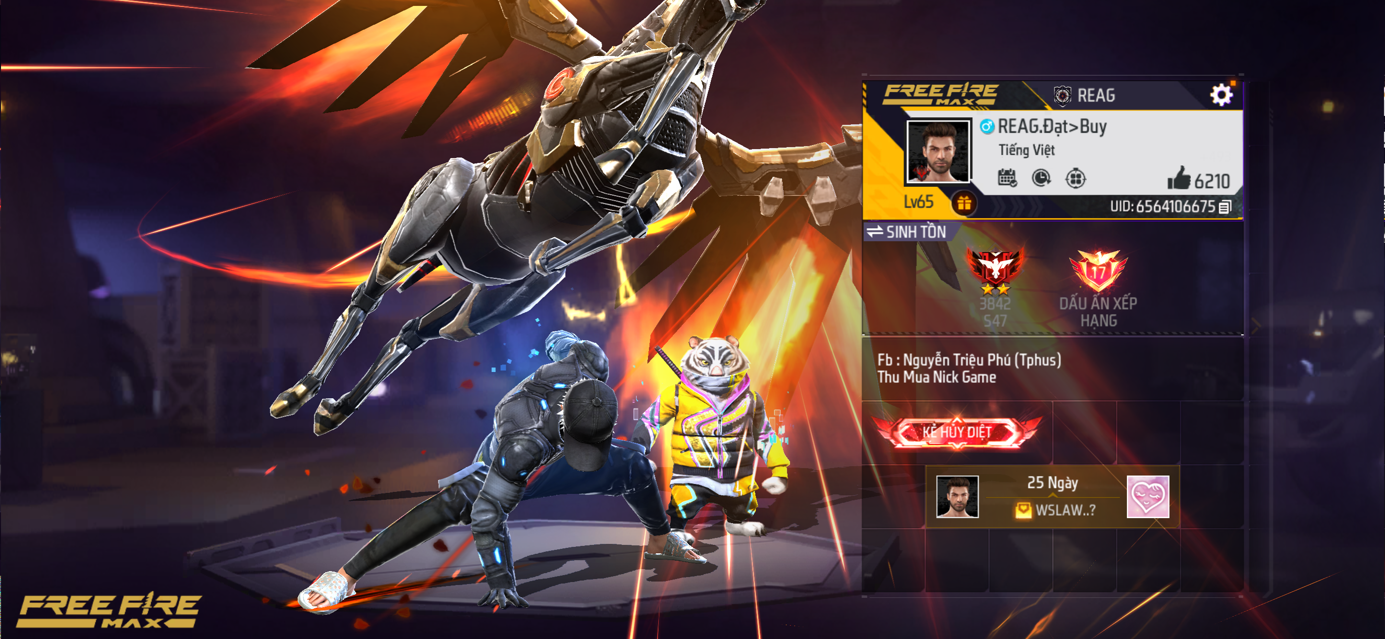 Account Preview