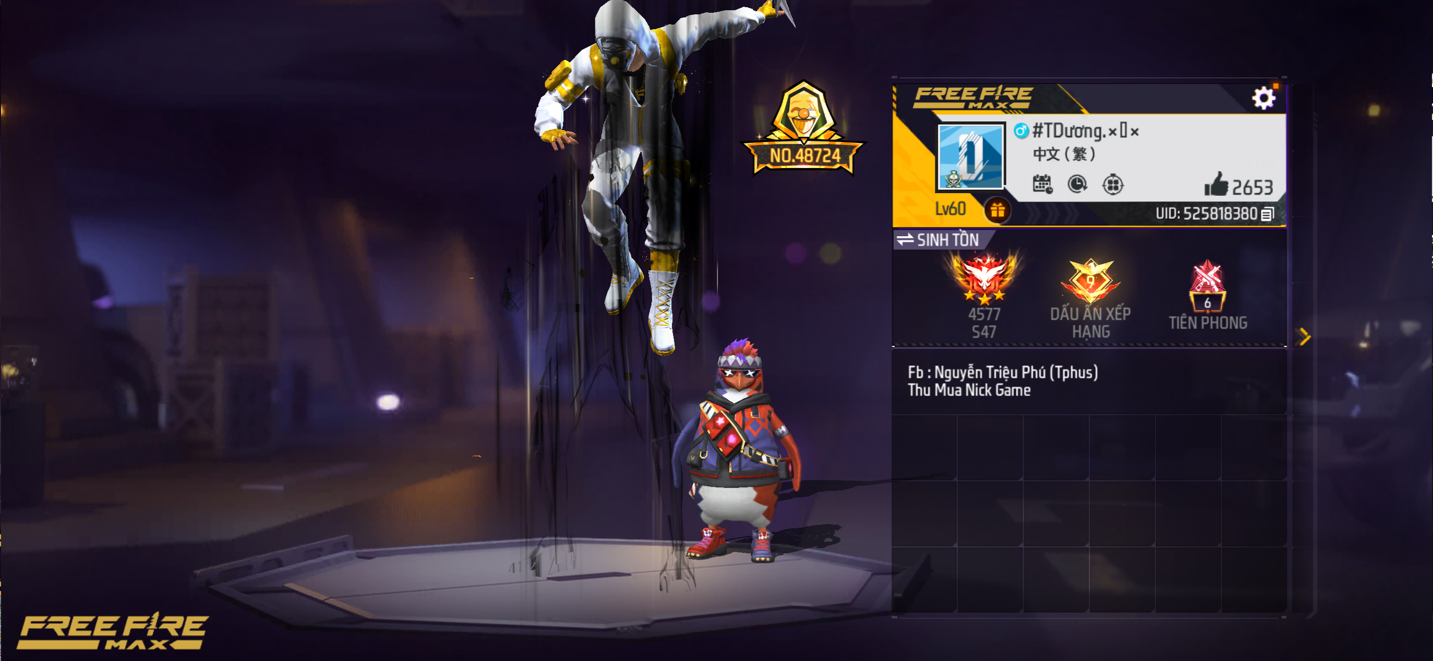 Account Preview