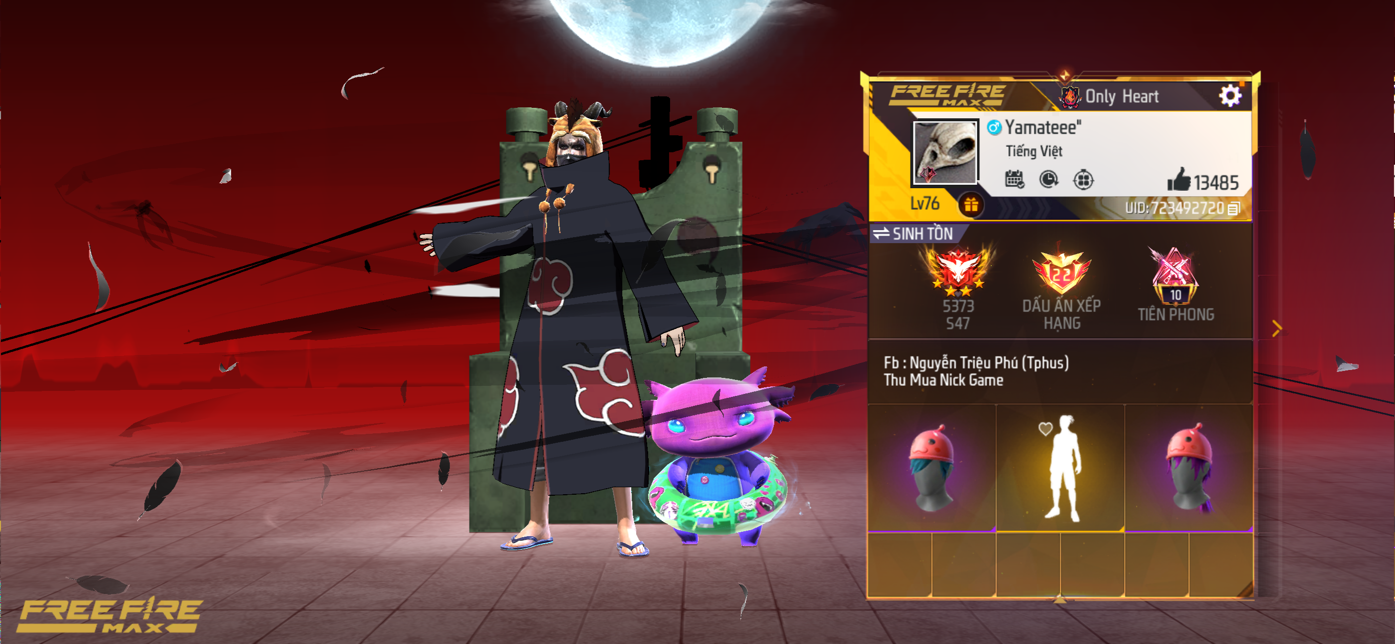 Account Preview