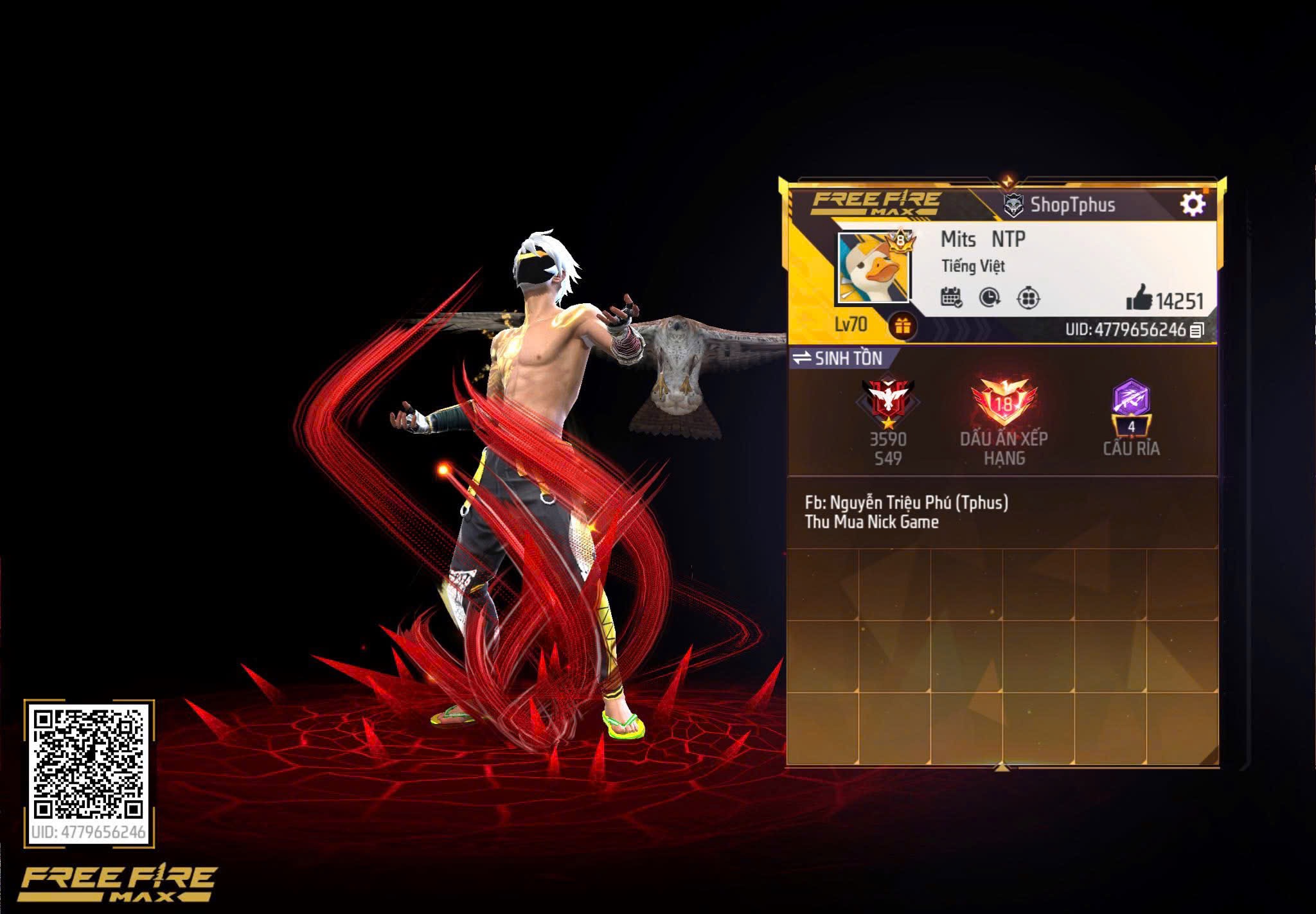 Account Preview