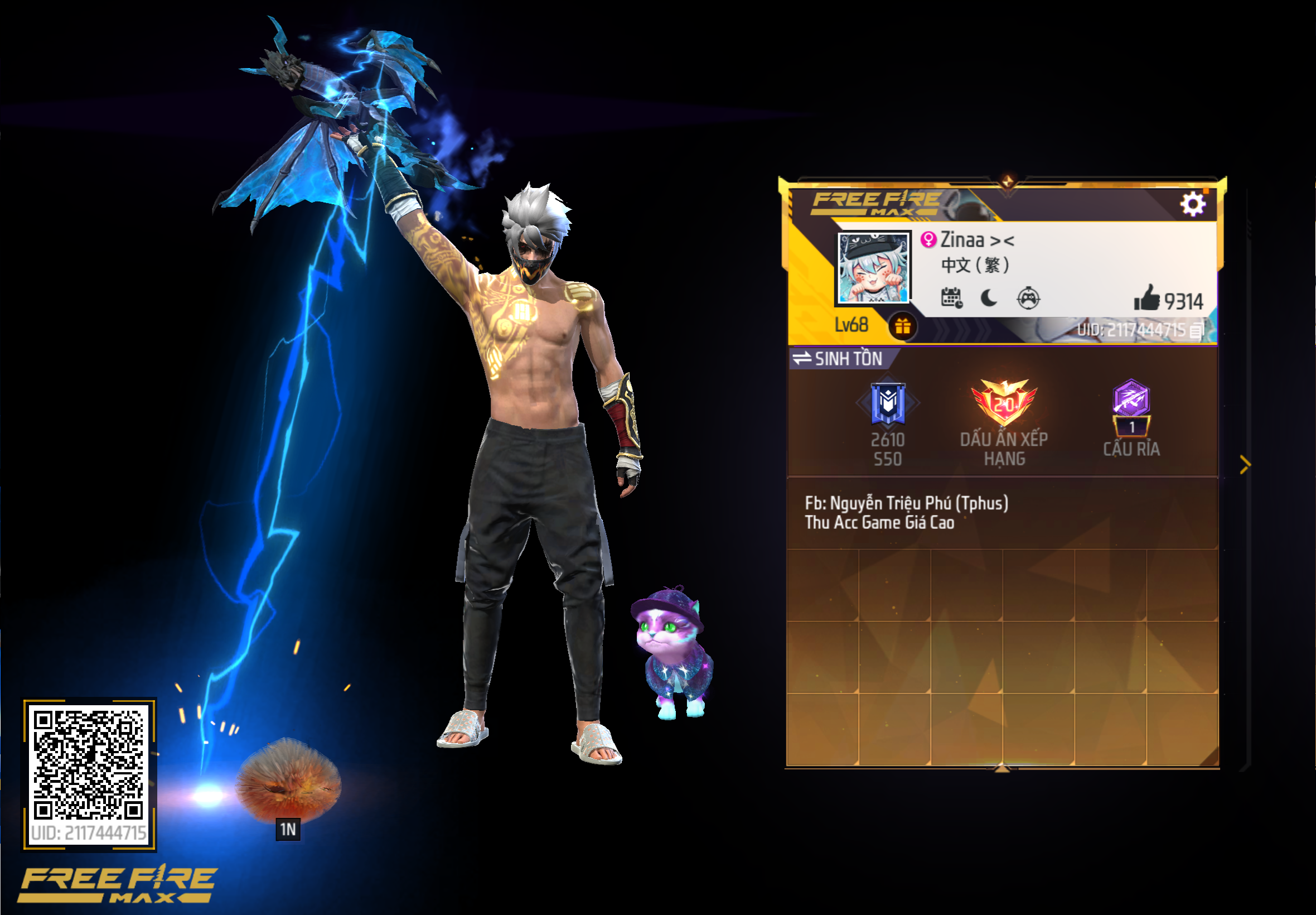 Account Preview