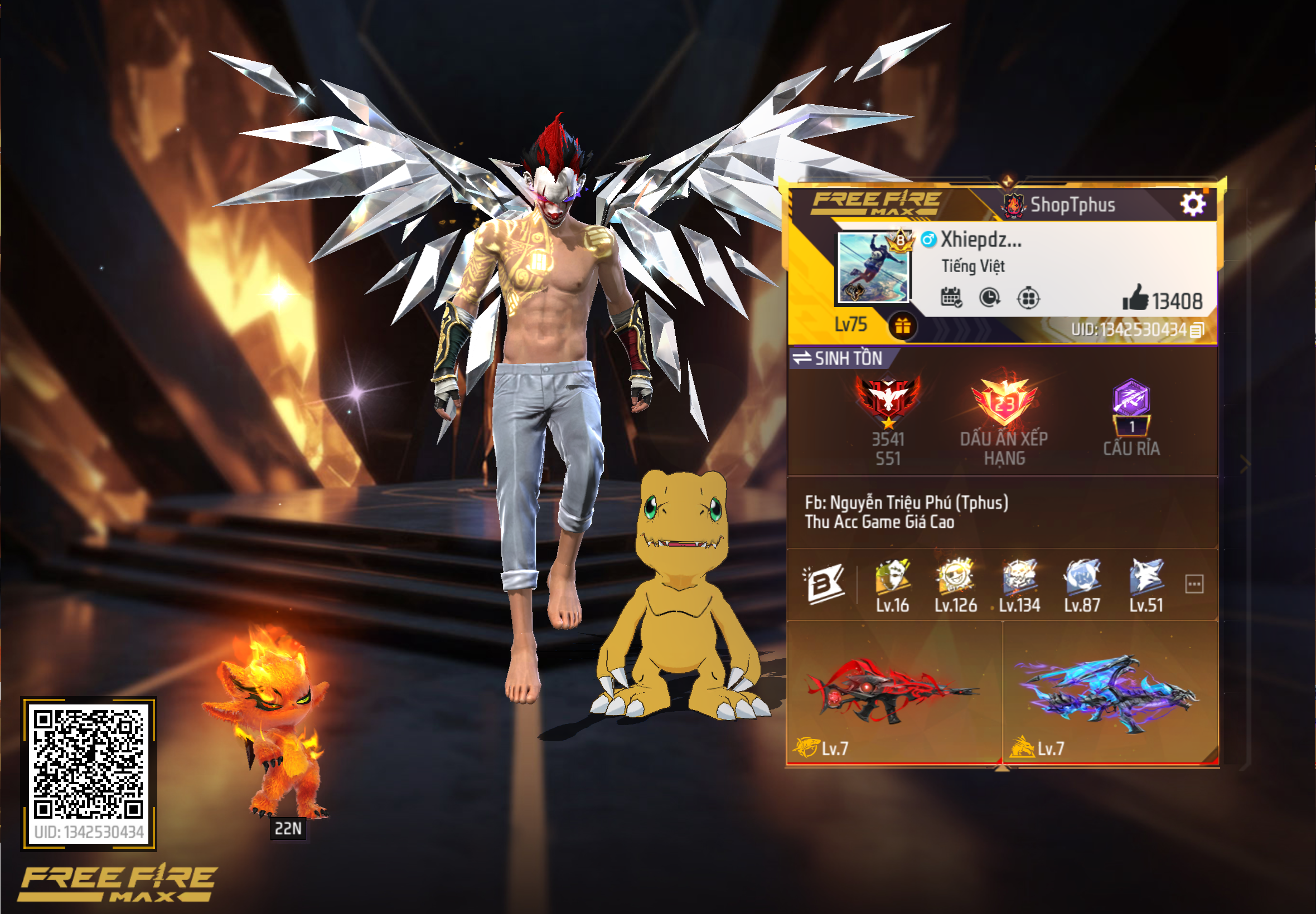 Account Preview