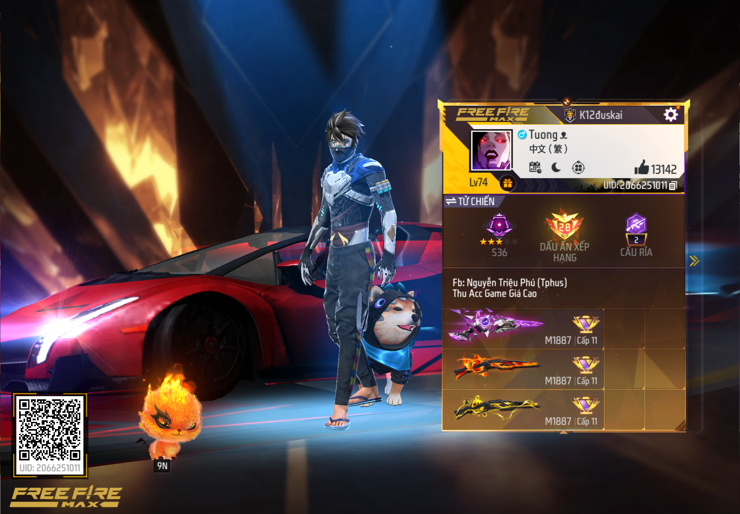 Account Preview