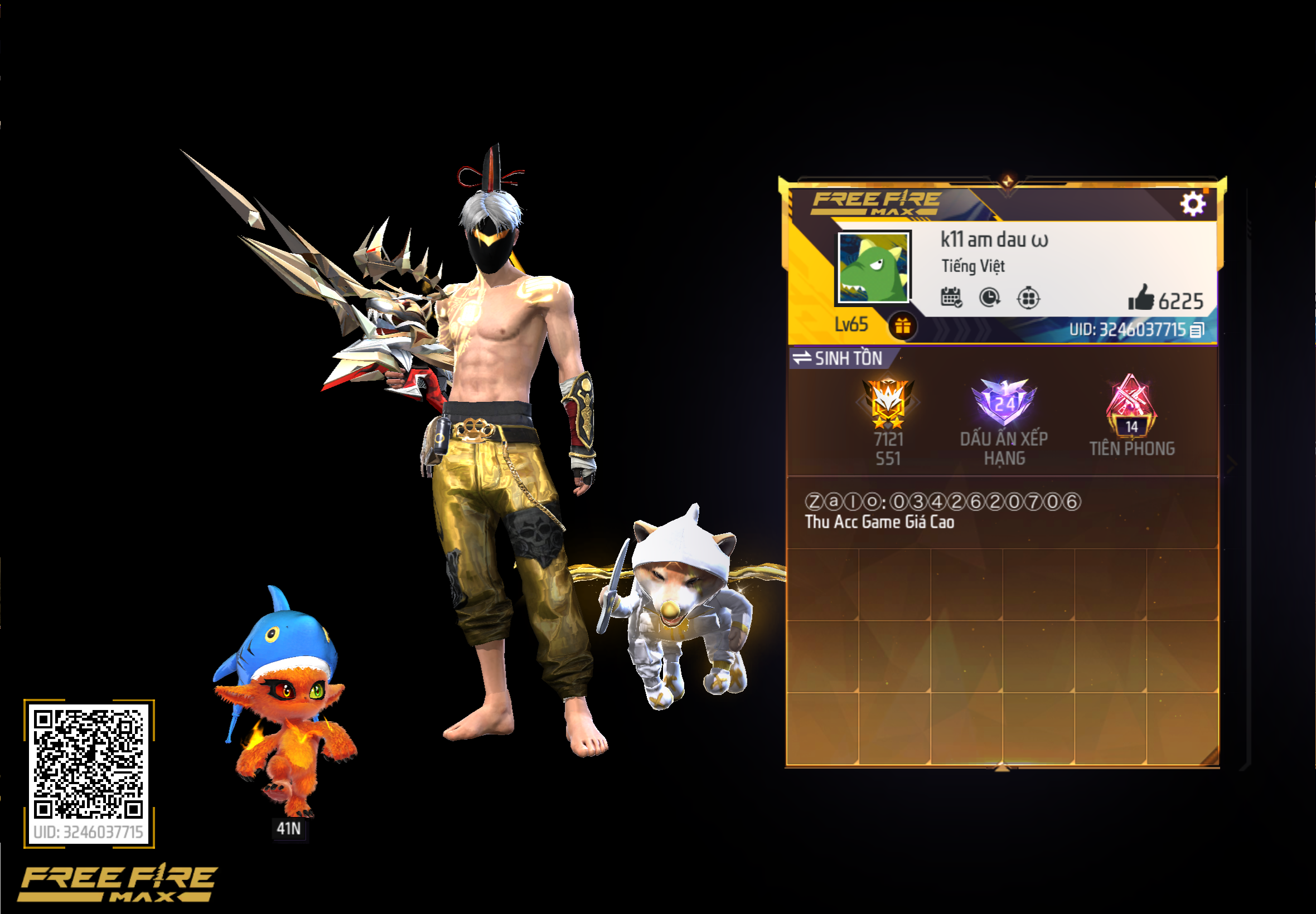 Account Preview